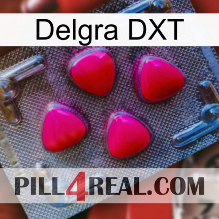Delgra DXT 13